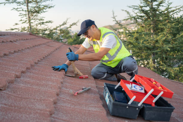 Best Roof Replacement Cost  in Robert Lee, TX